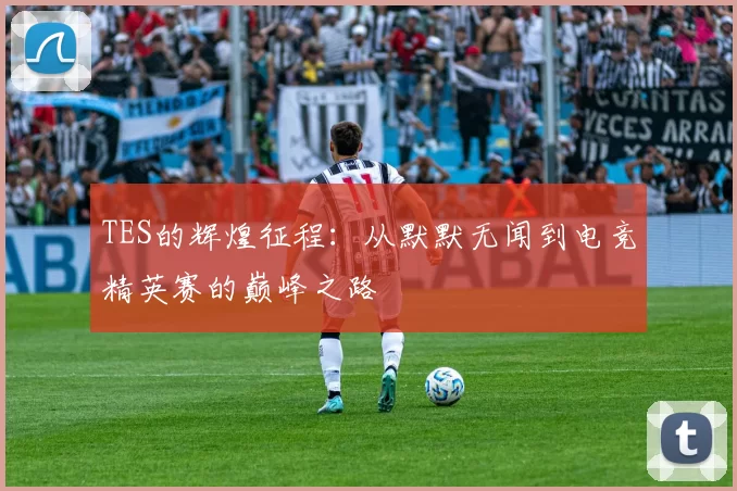 TES的辉煌征程：从默默无闻到电竞精英赛的巅峰之路