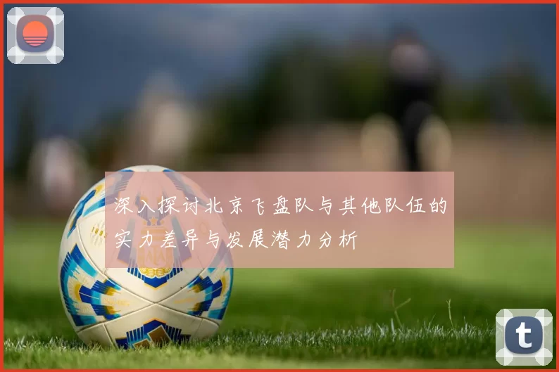 深入探讨北京飞盘队与其他队伍的实力差异与发展潜力分析