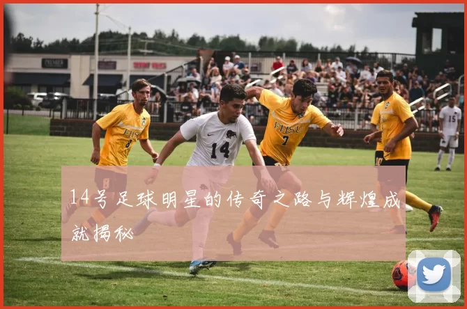 14号足球明星的传奇之路与辉煌成就揭秘