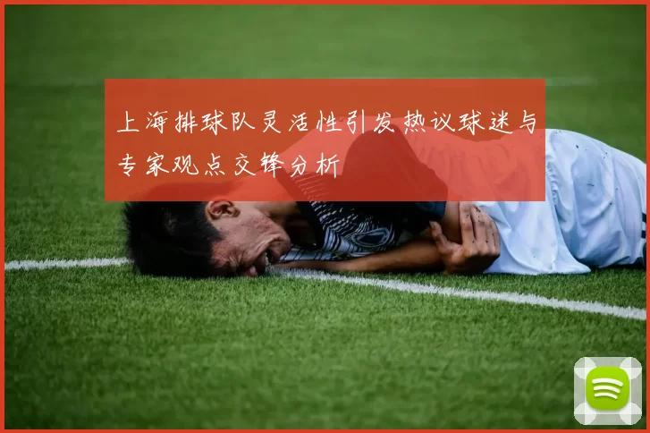 上海排球队灵活性引发热议球迷与专家观点交锋分析