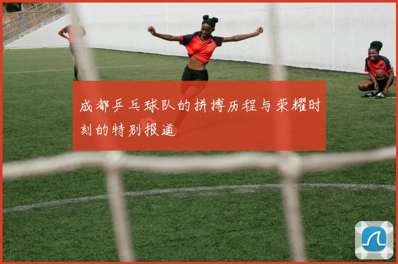 成都乒乓球队的拼搏历程与荣耀时刻的特别报道