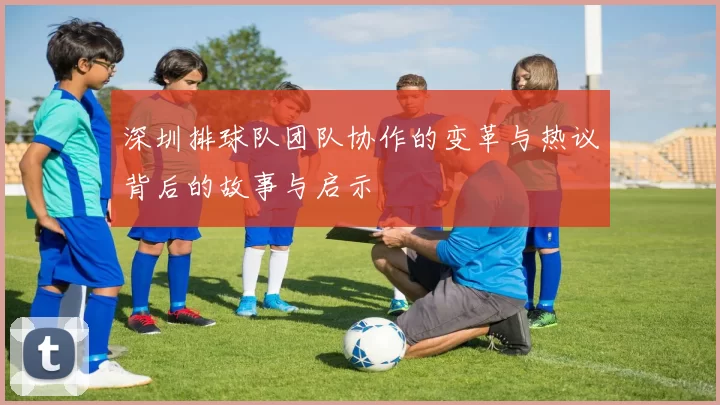 深圳排球队团队协作的变革与热议背后的故事与启示