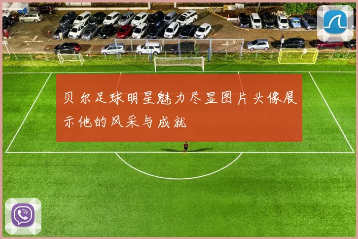 贝尔足球明星魅力尽显图片头像展示他的风采与成就