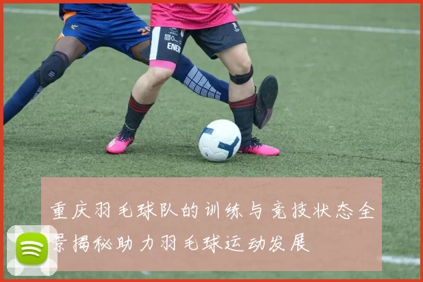 重庆羽毛球队的训练与竞技状态全景揭秘助力羽毛球运动发展