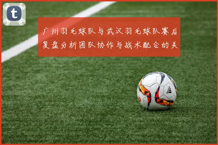 广州羽毛球队与武汉羽毛球队赛后复盘分析团队协作与战术配合的关键因素