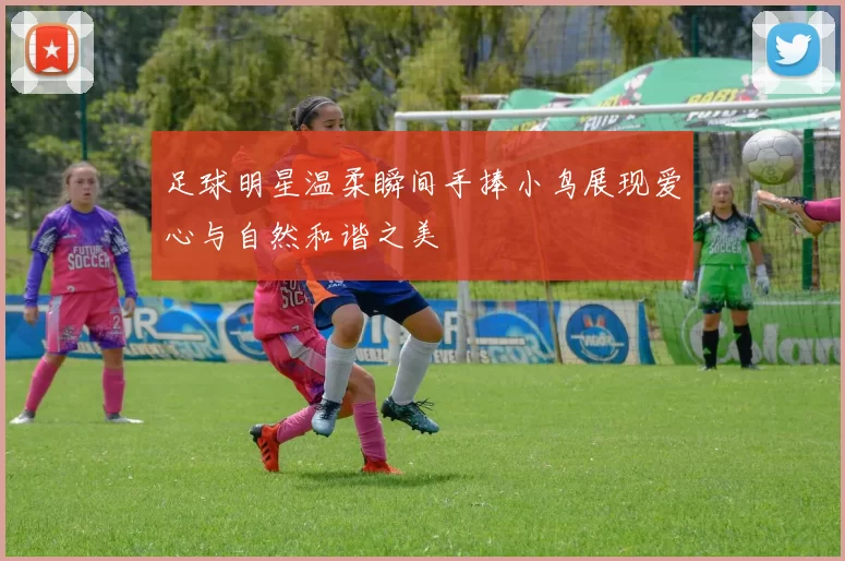 足球明星温柔瞬间手捧小鸟展现爱心与自然和谐之美