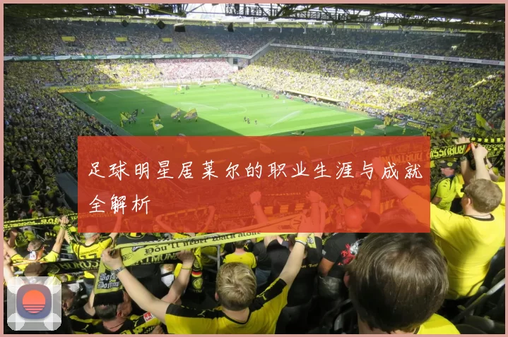 足球明星居莱尔的职业生涯与成就全解析