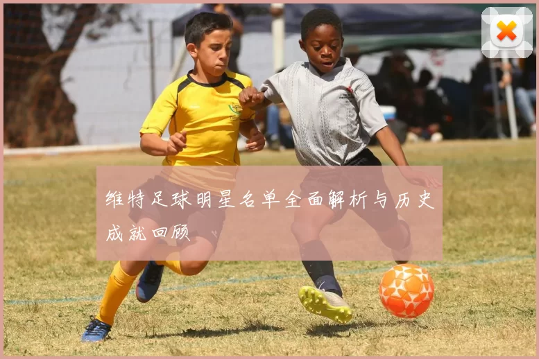 维特足球明星名单全面解析与历史成就回顾