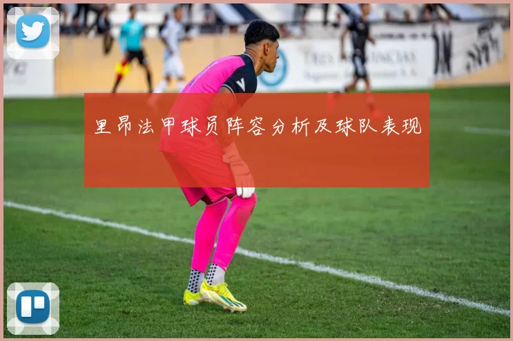 里昂法甲球员阵容分析及球队表现