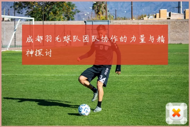 成都羽毛球队团队协作的力量与精神探讨