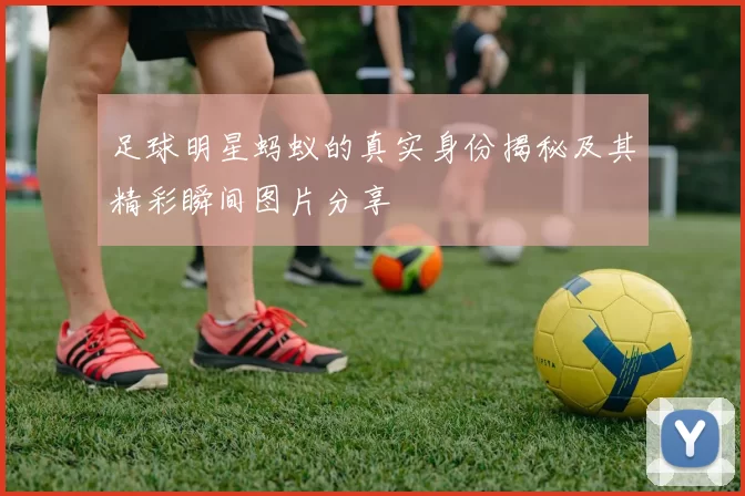 足球明星蚂蚁的真实身份揭秘及其精彩瞬间图片分享