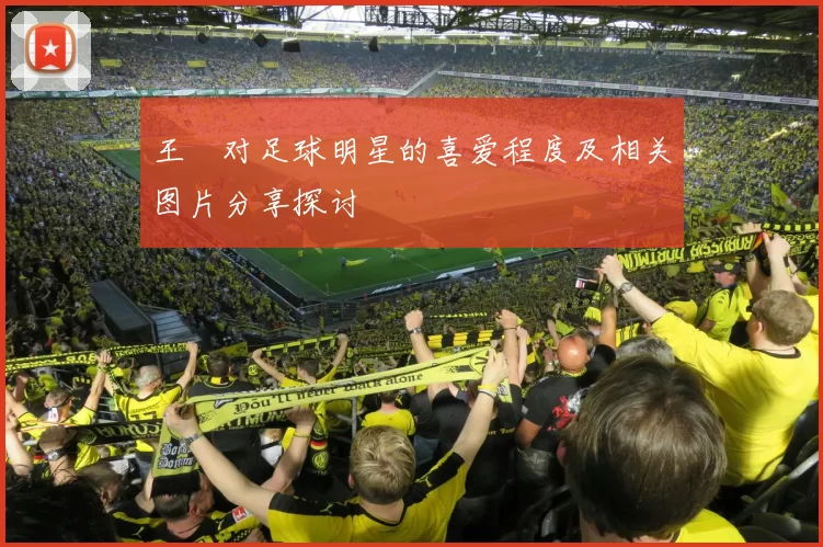 王濛对足球明星的喜爱程度及相关图片分享探讨