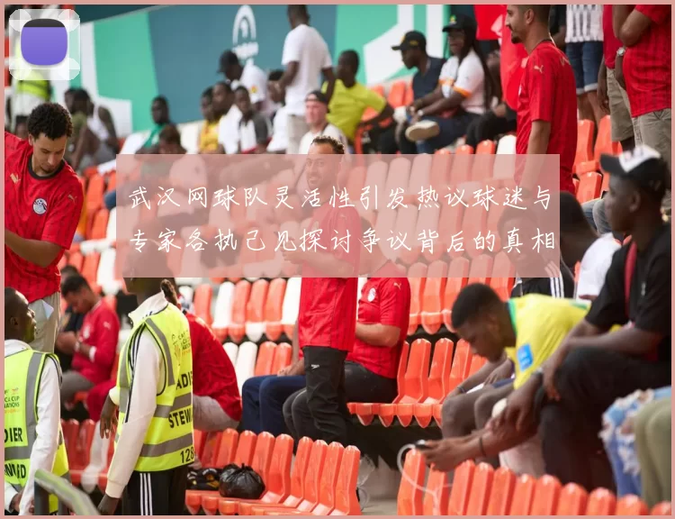 武汉网球队灵活性引发热议球迷与专家各执己见探讨争议背后的真相