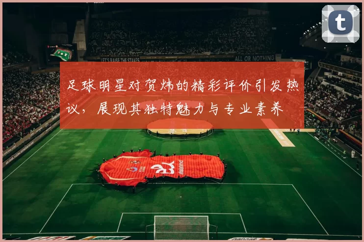 足球明星对贺炜的精彩评价引发热议，展现其独特魅力与专业素养