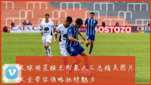足球明星猴王形象大汇总精美图片大全带你领略独特魅力