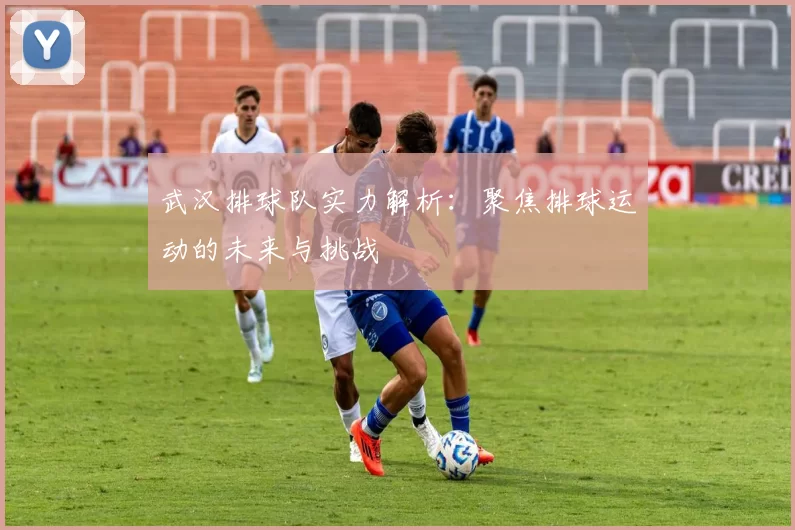 武汉排球队实力解析：聚焦排球运动的未来与挑战