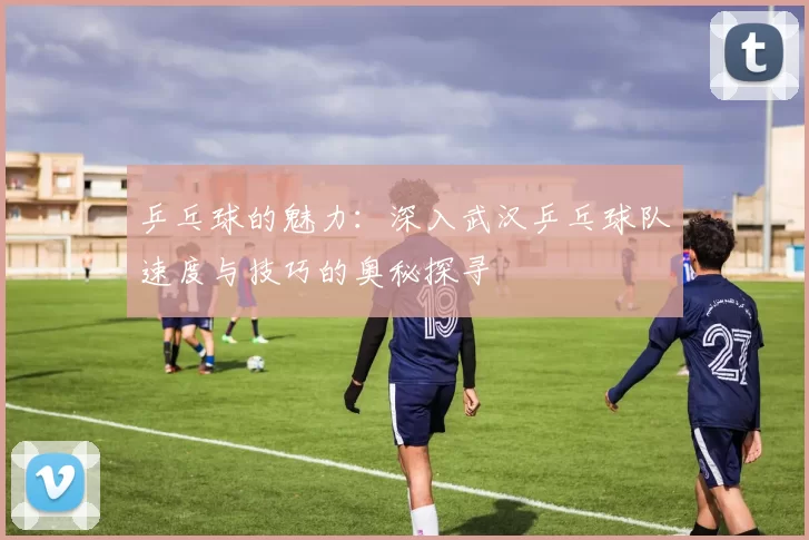 乒乓球的魅力：深入武汉乒乓球队速度与技巧的奥秘探寻
