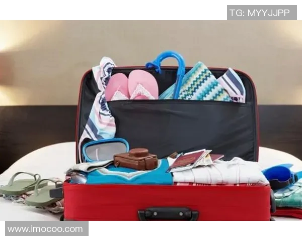 攀岩装备选购指南：必备护具推荐与使用技巧分享