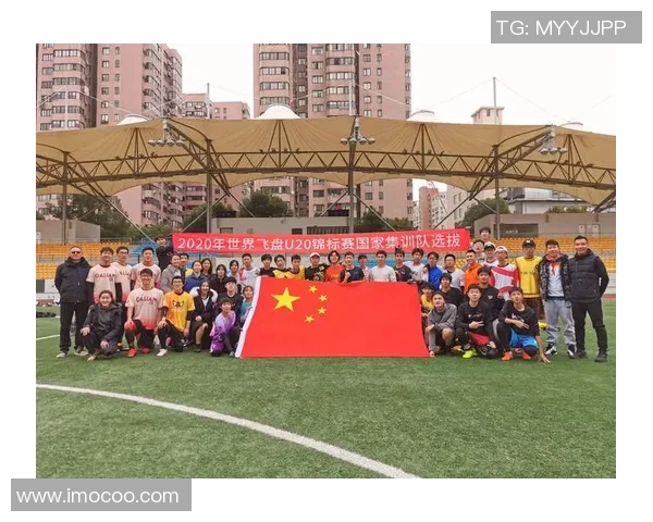 南京飞盘队在世界攀岩锦标赛中的精彩表现与力量分析