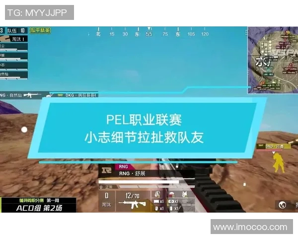 和平精英赛事最新力量排名RNG再创辉煌成就引发热议