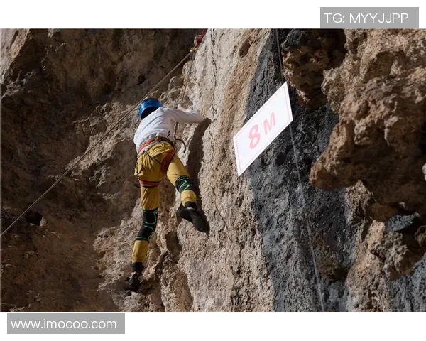 广州攀岩队的灵活性揭秘：挑战极限与团队协作的完美结合